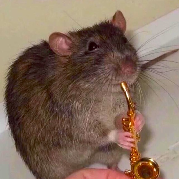 About me! - Picture 1 of 1